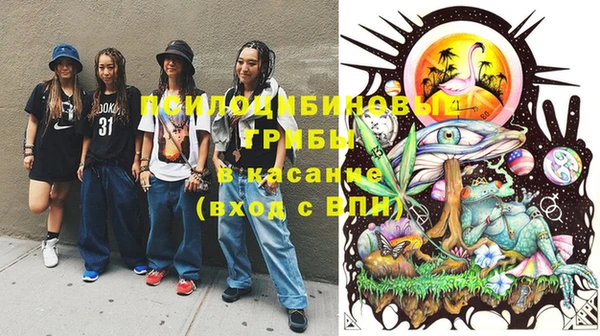 винт Аркадак